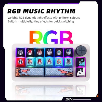 Darmoshark SK16 Macro Mechanical Numeric Keyboards 2.4G/USB-C/Bluetooth 16 Keys Mini Numpad Portable Keypad RGB Backlight Gaming Keyboards Extended Layout for Cashier,Fully Programmable Keys - size: SK16