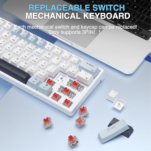 SOLAKAKA SK961 Wireless Mechanical Keyboard with RGB Backlight,Tri-Mode BT5.0/Wired/2.4GHz 60 Percent Wireless Gaming Keyboard,Red Switch - color: SK961-whiteblue-redswitch