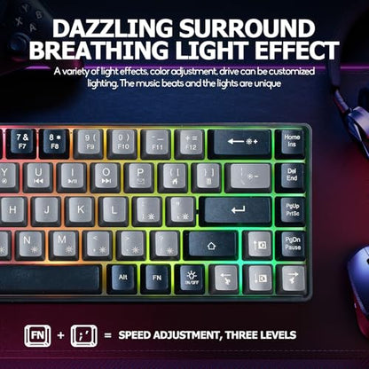 Guiheng Wired Portable 60% Mechanical Gaming Keyboard,RGB LED Backlit Compact 68 Keys Mini Wired Office Keyboard with Red Switch for Windows Laptop PC Mac -Grey and Black - color: grey and black