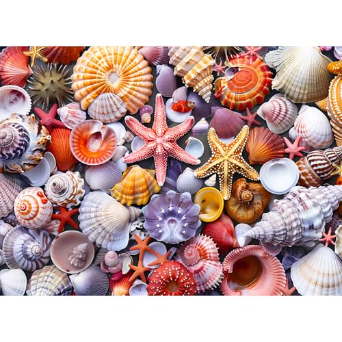 500 Pieces Jigsaw Puzzles for Adults–Colorful Beach Shells Puzzle for Adults Elderly–Recycled Paper Puzzle 500 Pieces–Glossy, Sturdy Pieces Challenging Family Game Great Gift Idea (20.5x15in) - color: Shell