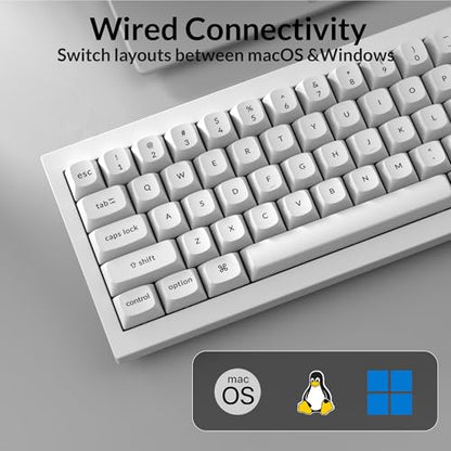 Keychron Q4 Wired Custom Mechanical Keyboard, QMK/VIA Programmable Macro, Full Aluminum, Hot-Swappable Gateron G Pro Blue Switch, 60% Layout Double Gasket Compatible with Mac and Windows - White - color: White (Gateron G Pro Blue Switch)