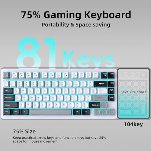 Snpurdiri 75% Wired Gaming Keyboard and Mouse Combo (Black Grey White) | 81-Key Compact Gaming Keyboard, Retro Round Keycaps Ice Blue Backlit Keyboard for Laptop, Easy to Carry on Business Trip - color: Black Grey White