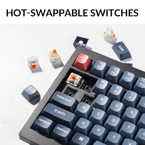 Keychron V6 Max Wireless Custom Mechanical Keyboard, 2.4 GHz Bluetooth 5.1 QMK Full-Size Layout RGB with Hot-swappable Silent Red Switch Compatible with Mac Windows Linux - color: Hot-swap Keychron K Pro Silent Red Switch