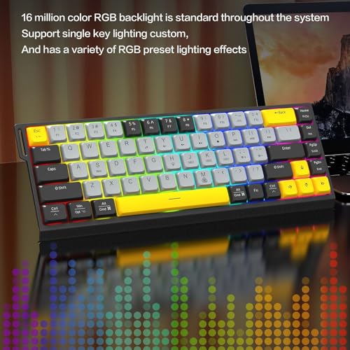 GOWENIC Wired Gaming Keyboard, RGB Backlit Mechanical Gaming Keyboard, 68 Keys Quiet Anti Ghosting No Conflict, Full Size Computer for PC Laptop (Gray Black) - color: Gray Black