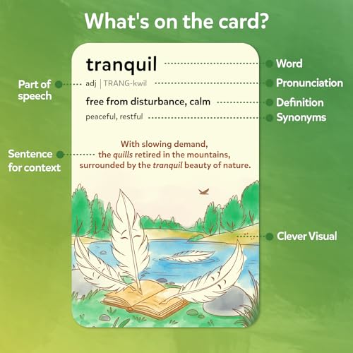 Skillmatics Vocabulary Flash Cards for Kids - Learn 100 Words with Wordplay, Visuals, & Soundplay, Educational Gift for Ages 8, 9, 10 & Up, Screen-Free Language Game - style: Level 1