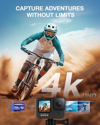 DIGIERA 256GB LT100 microSDXC UHS-I Memory Card with Adapter - up to 170MB/s, C10, U3, V30, 4K, A2, Micro SD Card for Smartphones, Tablets, Cameras, Gaming Consoles, and Drones (1 Pack) - size: 256GB, style: LT100 (170MB/s)