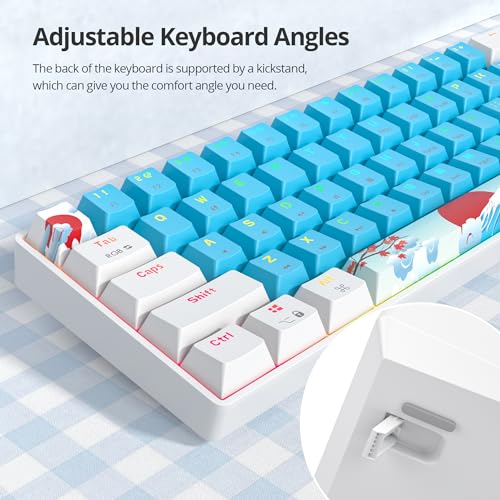 60% Mechanical Keyboard Wired Linear Red Switch RGB Backlight | 60 Percent 61-keys Compact Layout Gaming Keyboard TKL Ultra-Compact Mini RGB Backlit - color: 61 Blue/Red Switch