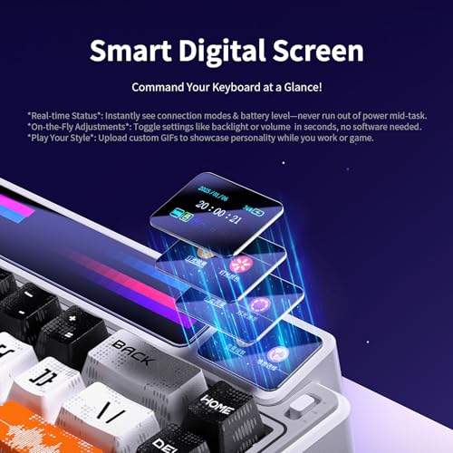 x Aula AMG65 Mechanical Gaming Keyboard with Dual Screen, 65% Wireless Small Custom Keyboard RGB, Bluetooth/2.4G/Wired, Rapid Trigger, Hot Swappable for Windows Laptop PC Mac - Purple - color: Purple