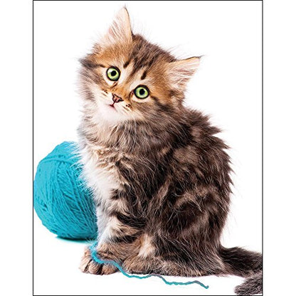 EuroGraphics Cat with Wool Mini Puzzle (100-Piece), 8104-0620, Multi - size: 100 Piece Puzzle, style: EuroGraphics Cat with Wool Mini Puzzle (100-Piece)
