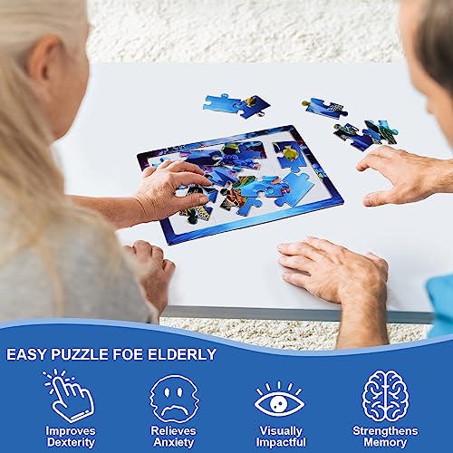 4 Pack 16 Large Piece Puzzles Dementia Alzheimer's Products and Activities - Memory Game for Patients in Nursing Home - Easy Puzzle for Adults for Seniors or Elderly Alzheimer's Patients (4pcs)