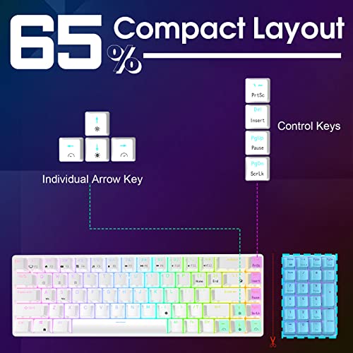 RK ROYAL KLUDGE RK68 Mechanical Gaming Keyboard, 65% Compact Size, White | Wired RGB 60% Keyboard, Hot Swappable Pre-lubed Red Switch, No-Comflict 68 Keys with Shine-through Keycaps for WIN/Mac Gamer
