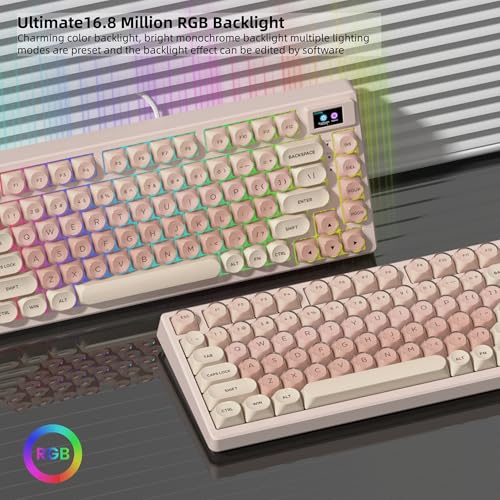 Womier SK80 75% Foundation Mechanical Keyboard with Multimedia Display | Pink Gaming Creamy Keyboards, Jelly Keycaps Hot Swap RGB Wired Key board Pre-lubed POM Switch for Mac/Win, Pink - color: Pink