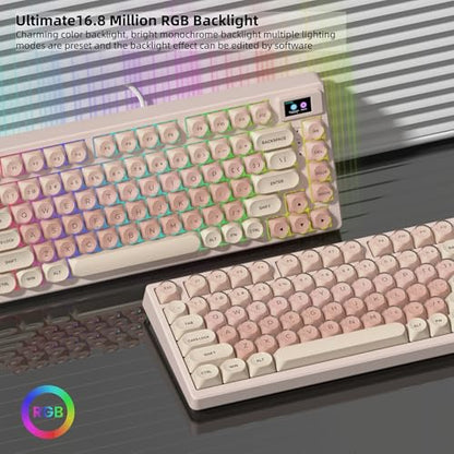 Womier SK80 75% Foundation Mechanical Keyboard with Multimedia Display | Pink Gaming Creamy Keyboards, Jelly Keycaps Hot Swap RGB Wired Key board Pre-lubed POM Switch for Mac/Win, Pink - color: Pink