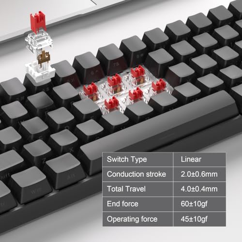 MageGee Portable 60% Mechanical Gaming Keyboard, RGB Backlit Compact 68 Keys Mini Wired Office Keyboard with Red Switches for Laptop PC Mac - Black Contour Lines - color: Black Contour Line/Red Switch