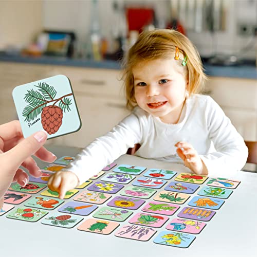 Hebayy Memory Matching Game, 72 PCS Grow A Garden Matching Cards for Toddlers 36 Designs Memory Cards Educational Toys for Preschool 4 5 6 Years Old - style: Garden