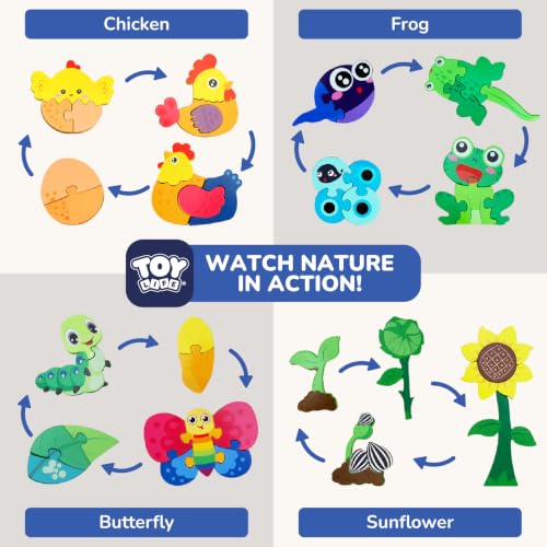 TOY Life Life Cycle Toys Puzzles for Kids, Wooden Puzzles for Toddlers 2-4, 4 Large Pieces Animal Puzzle for Toddlers 1-3, Montessori Toys for 1 2 3 Year Old Boy Girl, Baby Kids Educational Toy