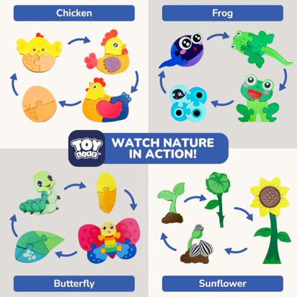 TOY Life Life Cycle Toys Puzzles for Kids, Wooden Puzzles for Toddlers 2-4, 4 Large Pieces Animal Puzzle for Toddlers 1-3, Montessori Toys for 1 2 3 Year Old Boy Girl, Baby Kids Educational Toy