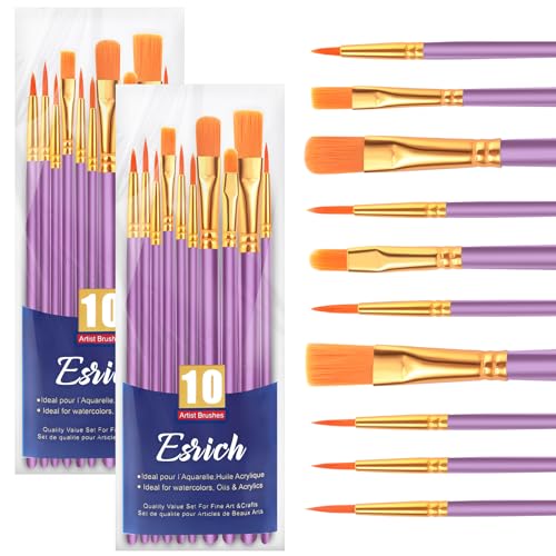 ESRICH Paint Brushes Set,2 Packs 20 Pcs Acrylic Paint Brush Set,Watercolor Oil Acrylic Nylon Hair Brushes,Artist Paintbrushes for Acrylic Oil Watercolor Painting Artist Professional Kits,Purple - color: Purple, size: 20