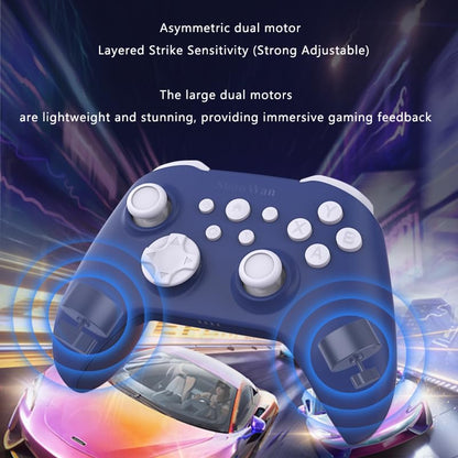ShanWan Wireless Bluetooth Controller, Gamepad with 2.4G Receiver and Data Charging Cable, Compatible with Windows PC, Android, iOS, iPad, macOS and Switch 2