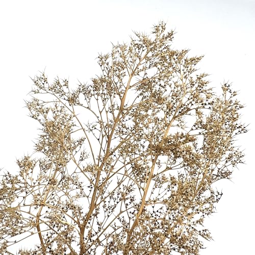Flexible Model Tree Armatures - 1:24 to 1:220 Scale Natural Wood Texture Skeletons for Railway, Diorama & Wargame Terrain - Unbreakable & Easy to Shape, Ages 14+ (Brown) - color: Brown