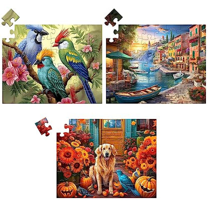 3 Pack 48 Piece Jigsaw Puzzle for Seniors Dementia Puzzles for Elderly | Large Piece Puzzle for Seniors Dog Bird Dementia Alzheimer's Products Activities for Seniors Nursing Home Gift 15.7 * 11.8IN - style: 48A Large Pieces
