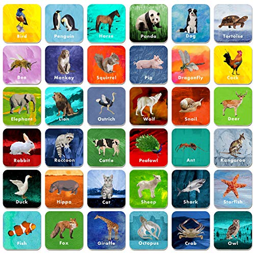 36 Pair Animal Matching Game Flash Cards Erasable (Each Measures 2” X 2”) - style: Real Animals