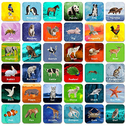 36 Pair Animal Matching Game Flash Cards Erasable (Each Measures 2” X 2”) - style: Real Animals