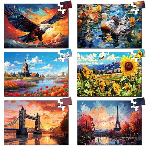6 Pack 36-Piece Large Jigsaw Puzzles for Seniors Easy Dementia Alzheimer Products Dementia Activities Memory Training Game for Elderly Alzheimer's Patients in Nursing Home Gift (Style 3) - style: Style 3