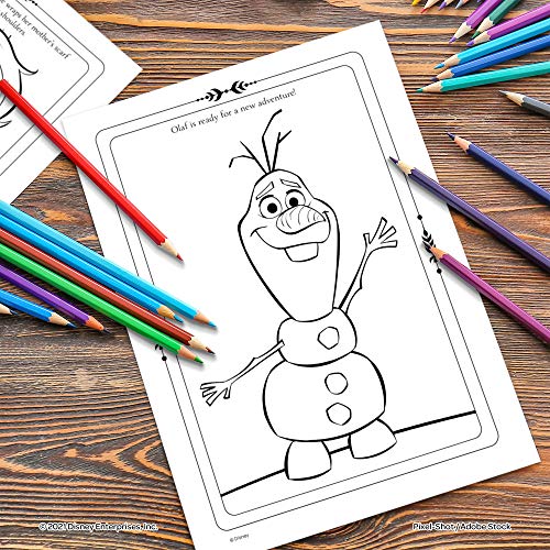 Disney Frozen 2 Anna and Elsa Coloring and Activity Carry Set with Sticker Sheets AS45853 Bendon, Multicolor