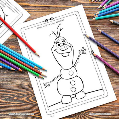 Disney Frozen 2 Anna and Elsa Coloring and Activity Carry Set with Sticker Sheets AS45853 Bendon, Multicolor