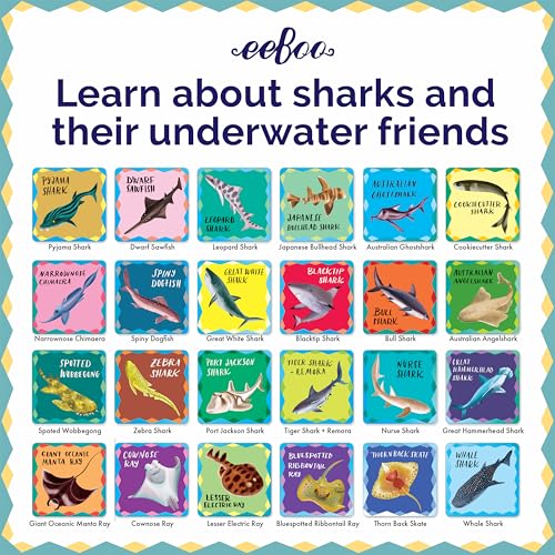 eeBoo Shiny Sharks & Friends Memory & Matching Game, Ages 3+, 1-4 Players | Introduces sharks & marine life. Sharpens recognition, concentration & memory skills. Includes 48 foil tiles, 24 pairs - style: Shiny Sharks & Frinds