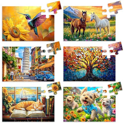 Biarek 6 Packs 16 Large Piece Puzzle for Seniors, Alzheimer's & Dementia Activities, Easy Puzzle, 6 Storage Bags - style: 16A Large Pieces