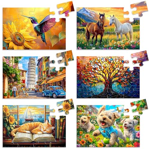 Biarek 6 Packs 16 Large Piece Puzzle for Seniors, Alzheimer's & Dementia Activities, Easy Puzzle, 6 Storage Bags - style: 16A Large Pieces