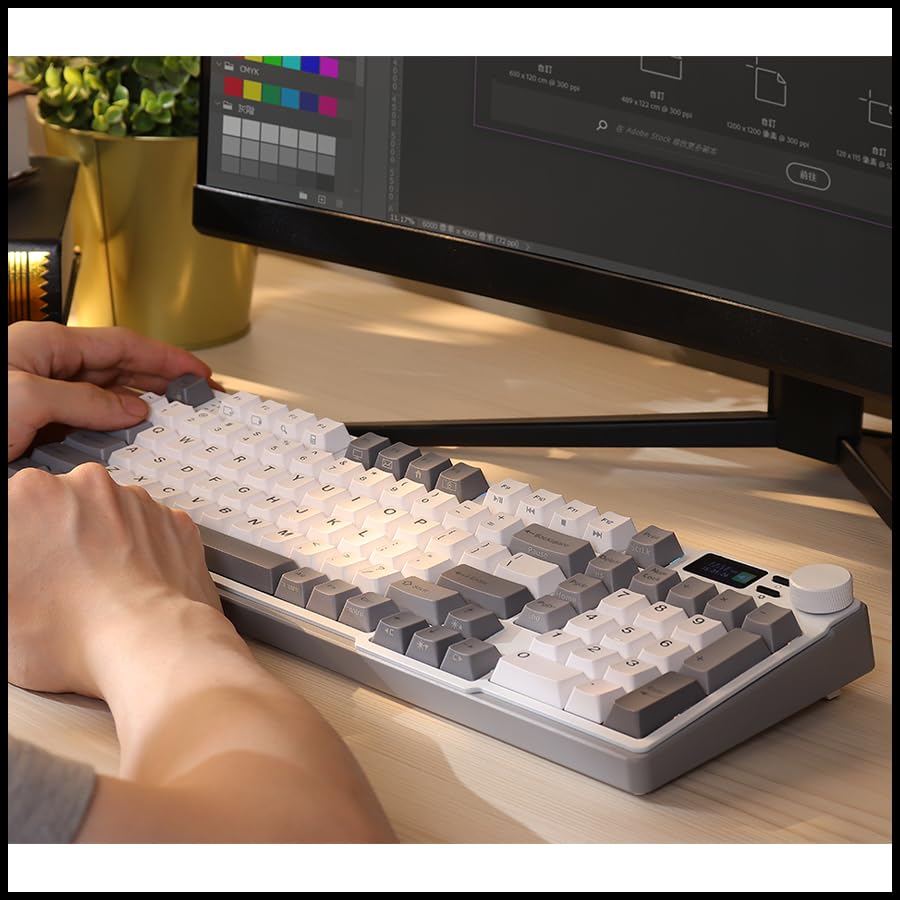 iRocks K85R Wireless RGB Backlit Mechanical Gaming Keyboard with LCD Display, Hot-Swappable Pre-lubed Brown Switches, 98 PBT Keys, USB-C Detachable Cable (ICY White, Bubble Switch) - color: Icy White