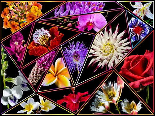 Flower Power 1000 Piece Puzzle - Flower Jigsaw Collage for Adults | Colorful floral jigsaw puzzle for adults, relaxing puzzle night, great gift for flower lovers - style: Flowers 1000 pieces