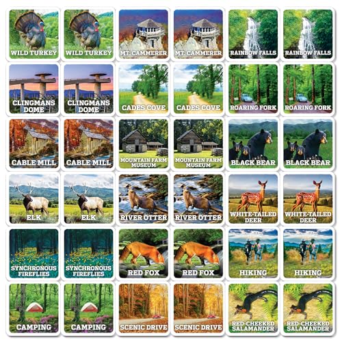 Masterpieces Officially Licensed National Parks Great Smoky Mountains Picture Matching Card Game for Kids and Families - style: Great Smoky Mountains