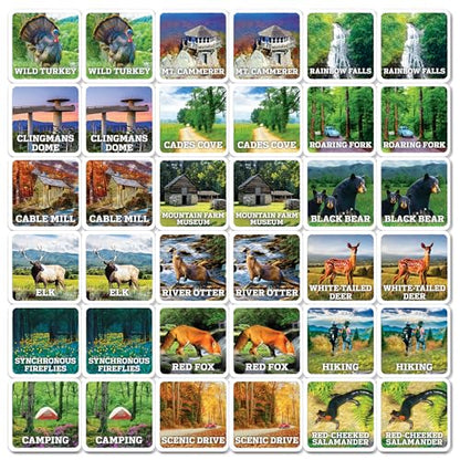 Masterpieces Officially Licensed National Parks Great Smoky Mountains Picture Matching Card Game for Kids and Families - style: Great Smoky Mountains