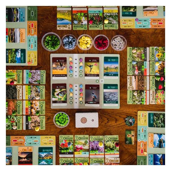 Inside Up Games Bundle: Earth + Earth Abundance Expansion