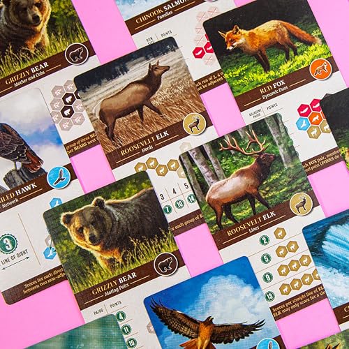 Cascadia, Award-Winning Cozy Nature Board Game Set in the Pacific Northwest | 1-4 Players, Ages 10+, 30-45 Mins, Relaxing Tile-Laying