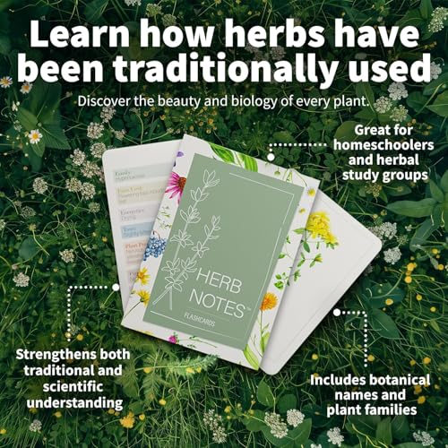 Herb Notes Plant Identification Cards, 48 Illustrated Botanical Flash Cards | Herb Cards for Plant Identification, Nature Study & Classroom Learning, Compatible with Learning Herbs Wildcraft! Board Game - style: Herb Notes