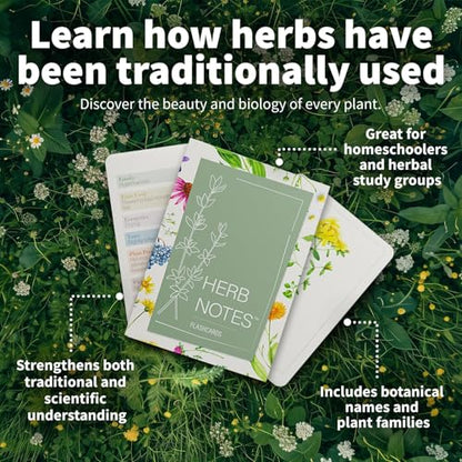 Herb Notes Plant Identification Cards, 48 Illustrated Botanical Flash Cards | Herb Cards for Plant Identification, Nature Study & Classroom Learning, Compatible with Learning Herbs Wildcraft! Board Game - style: Herb Notes