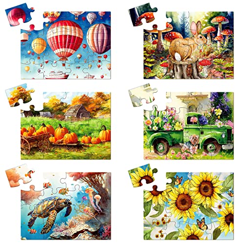 Liliful 6 Pack 16 Pcs Large Puzzles for Seniors Wooden Dementia Puzzles Alzheimer Puzzles Easy Puzzle for Elderly 12.6 x 9.45 Inch Jigsaw Puzzle for Adults Alzheimer's Products Activities