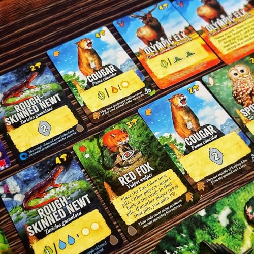Weird City Games Canopy Evergreen, Strategy Board Game | For 1 to 4 Players and Ages 10+
