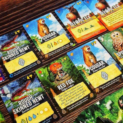 Weird City Games Canopy Evergreen, Strategy Board Game | For 1 to 4 Players and Ages 10+