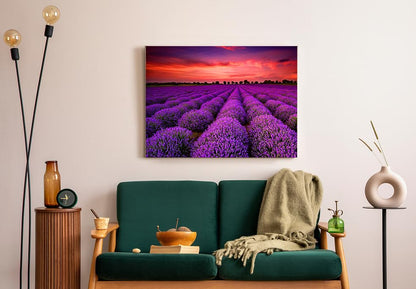 1000 Pieces for Spring Jigsaw Puzzles, Lavender Nature Landscape Flowers Puzzles for Adults, Plants Challenging Funny Puzzles for Friends Family Activity Game Nights Gifts - color: Spring