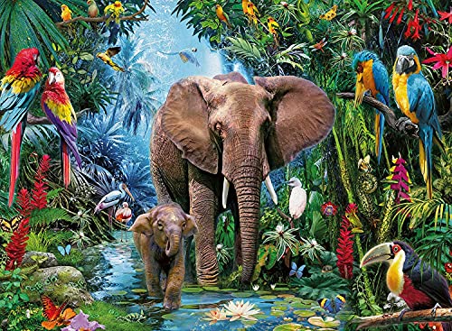 Jigsaw Puzzles for Adults 1000 Piece Elephant Parrot & Rainforest 27.56 x 19.69 Inch Puzzles 1000 Pieces for Adults Kids Educational Game Challenge Toy Elephant Puzzles 1000 Pieces for Adults - color: Elephant Parrot & Rainforest