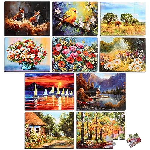 Hiboom 10 Pack 16 Piece Large Jigsaw Dementia Puzzles for Alzheimers Senior Easy Puzzles Dementia Products for Elderly Adults Gifts Memory Cognitive Games Christmas Activities, 9.45 x 12.6 Inch(Vivid) - color: Vivid