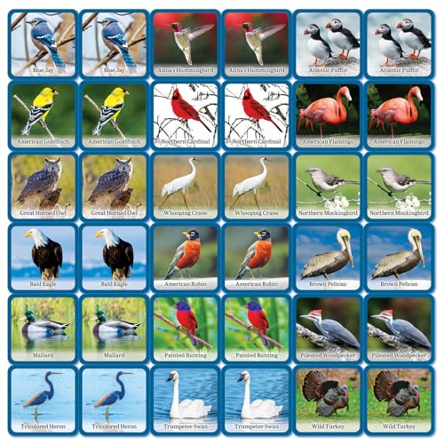 Masterpieces Officially Licensed Audubon Picture Matching Card Game for Kids and Families - style: Audubon