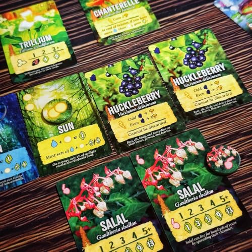 Weird City Games Canopy Evergreen, Strategy Board Game | For 1 to 4 Players and Ages 10+