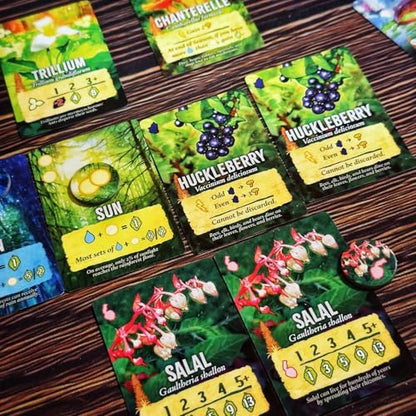 Weird City Games Canopy Evergreen, Strategy Board Game | For 1 to 4 Players and Ages 10+